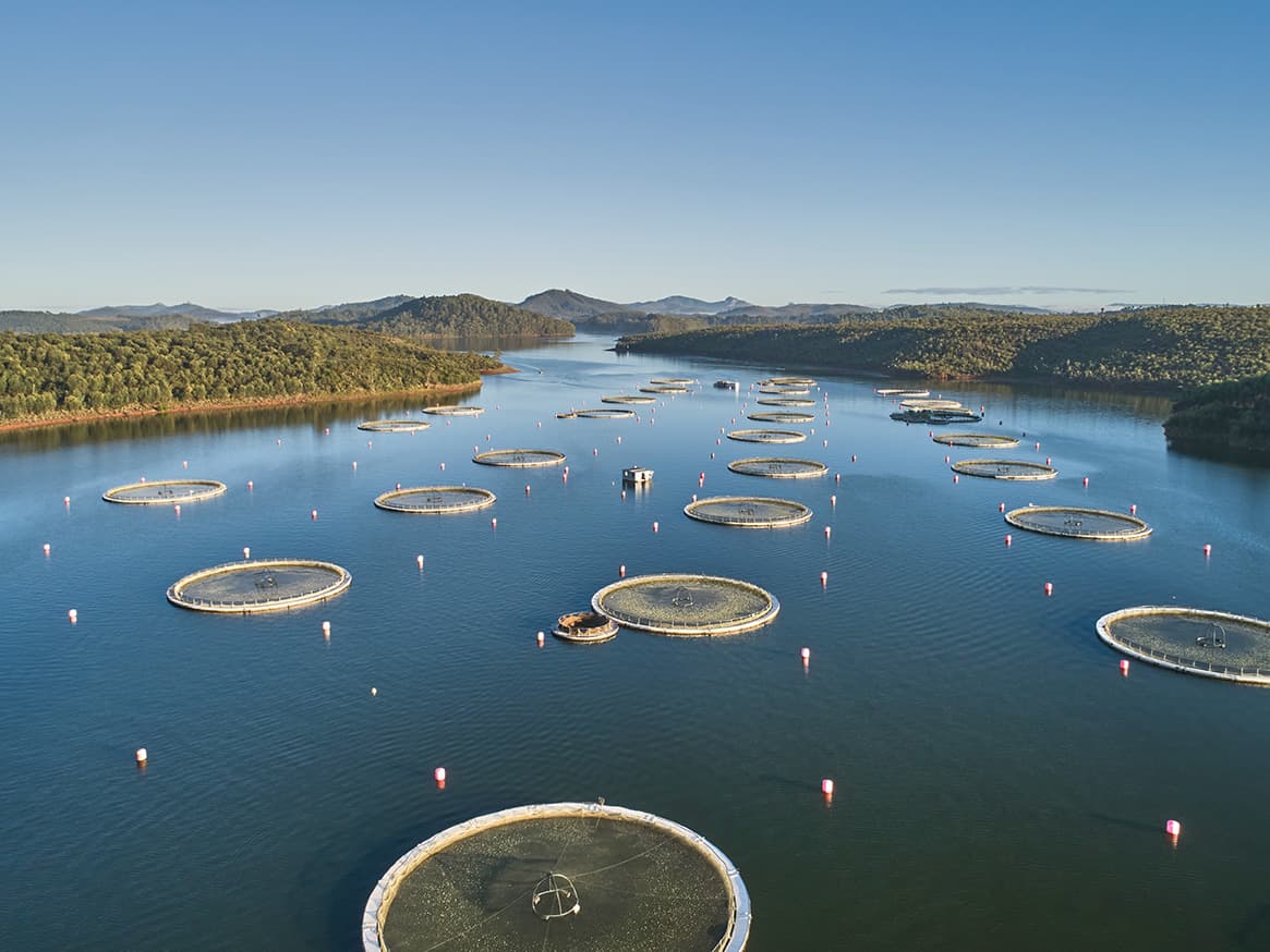 Vue aérienne des cages d’élevage sur le lac de Mantasoa