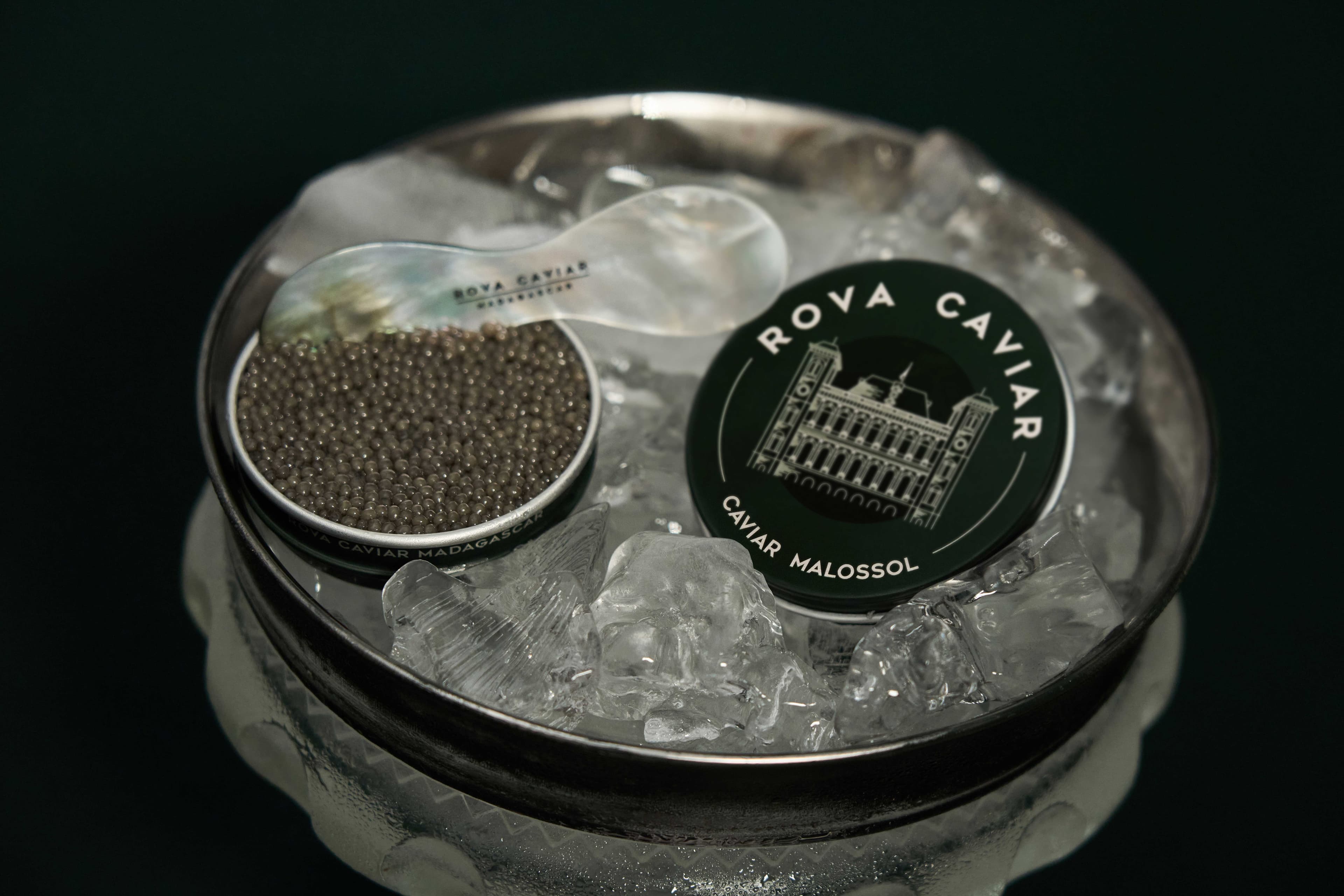 Boîte de caviar Shipova ouverte sur un lit de glace