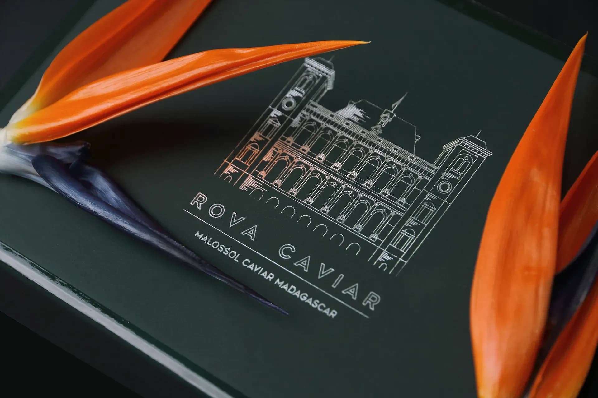 Coffret cadeau Rova Caviar vert profond orné de détails argentés