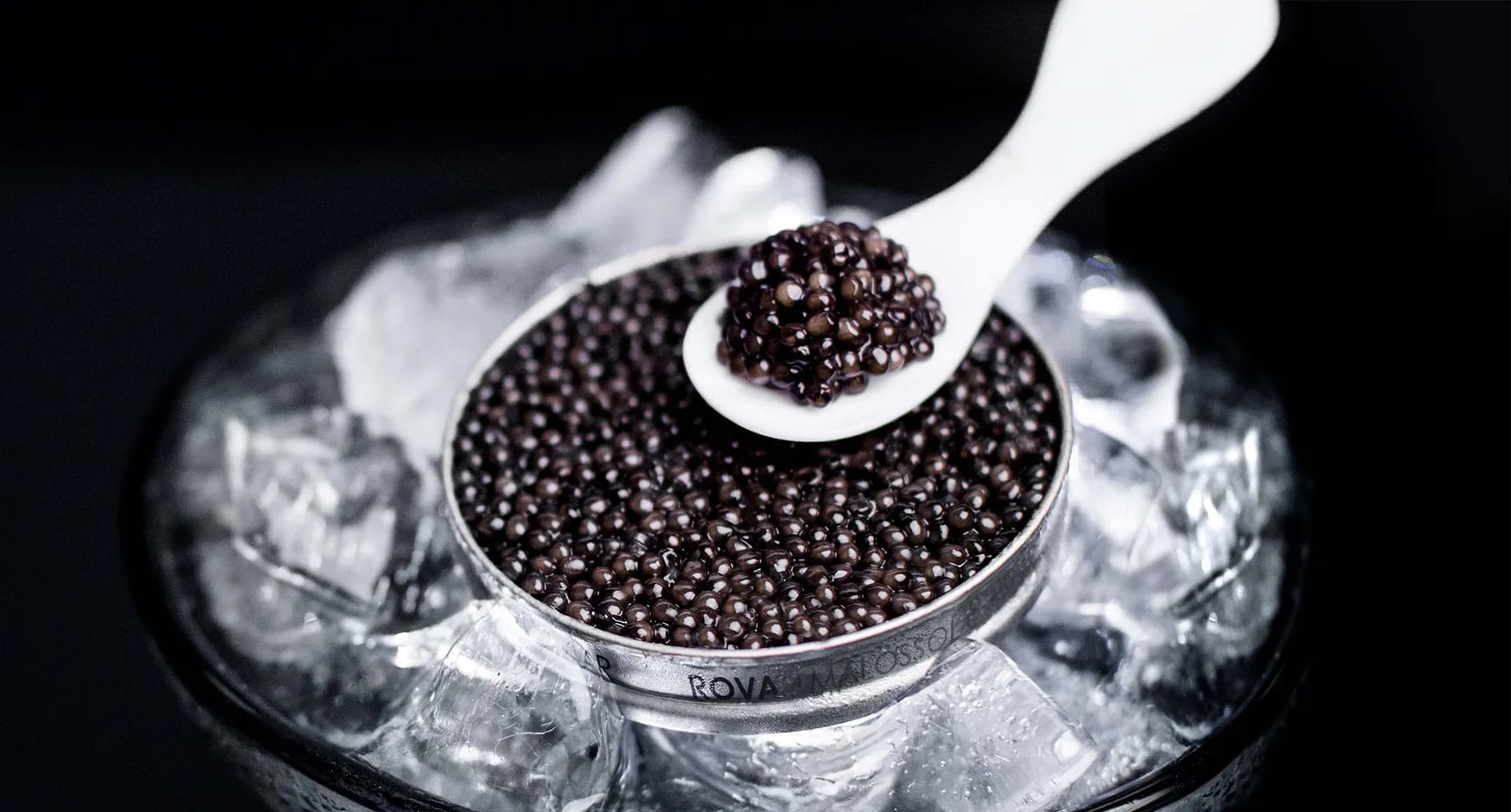 Boîte de caviar Baeri ouverte sur un lit de glace