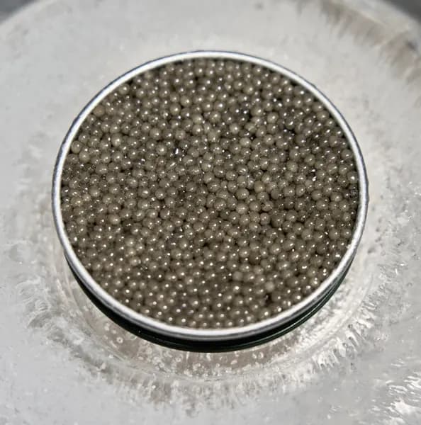 Boîte de caviar Shipova ouverte laissant apparaître ses grains clairs