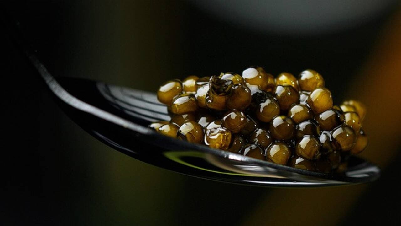 Cuillère de nacre remplie de grains de caviar
