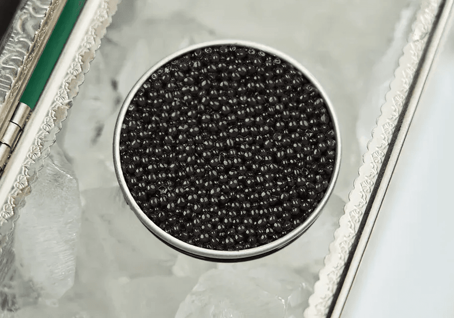 Boîte de caviar ouverte posée sur la glace