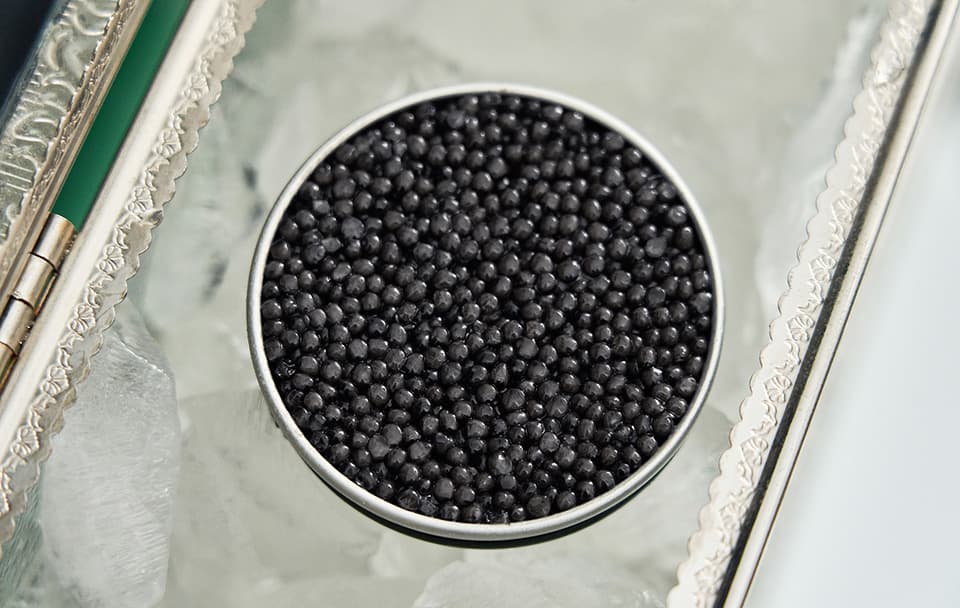 Boîte de caviar ouverte sur la glace