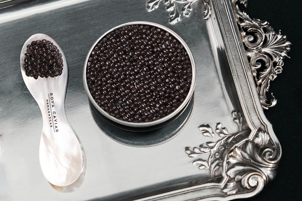 Boîte de caviar et cuillère en nacre sur un plateau en argent