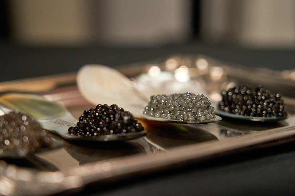 Cuillères en nacre présentant des caviars de couleurs différentes