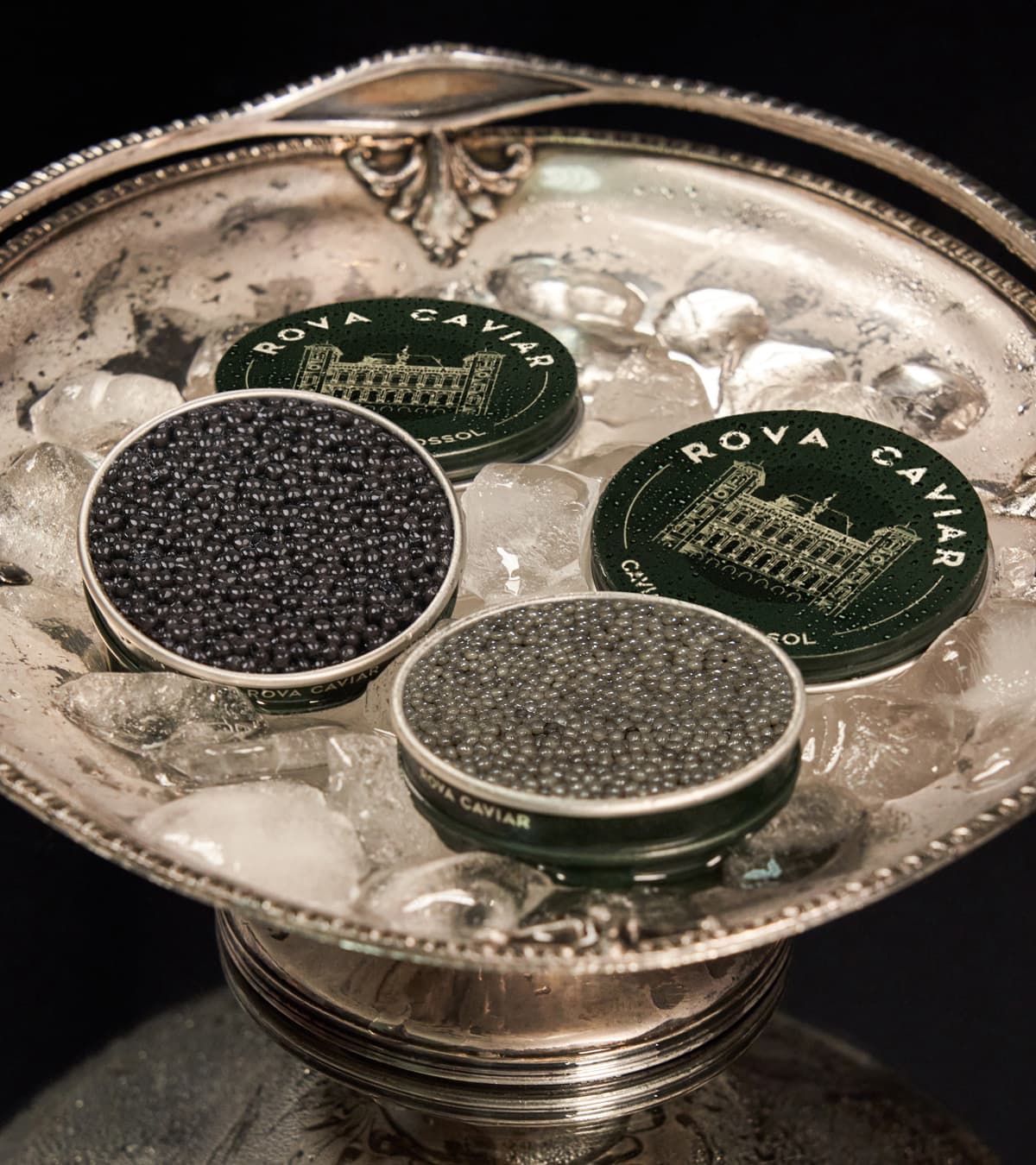 Deux boîtes de caviar Rova Caviar sur glace dans une coupe en argent