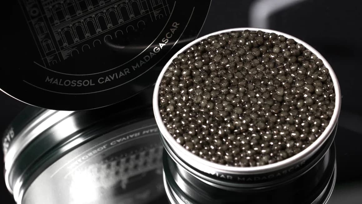 Boîte ouverte de caviar Rova Malossol de Madagascar