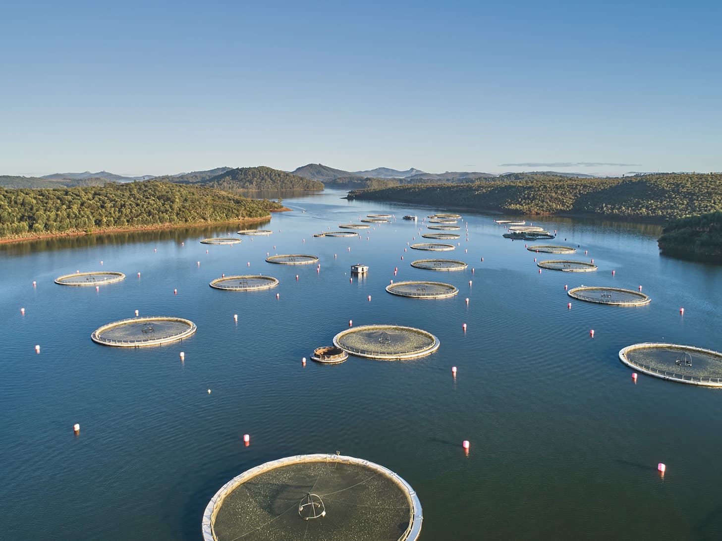 Vue aérienne du lac d’altitude où sont élevés les esturgeons
