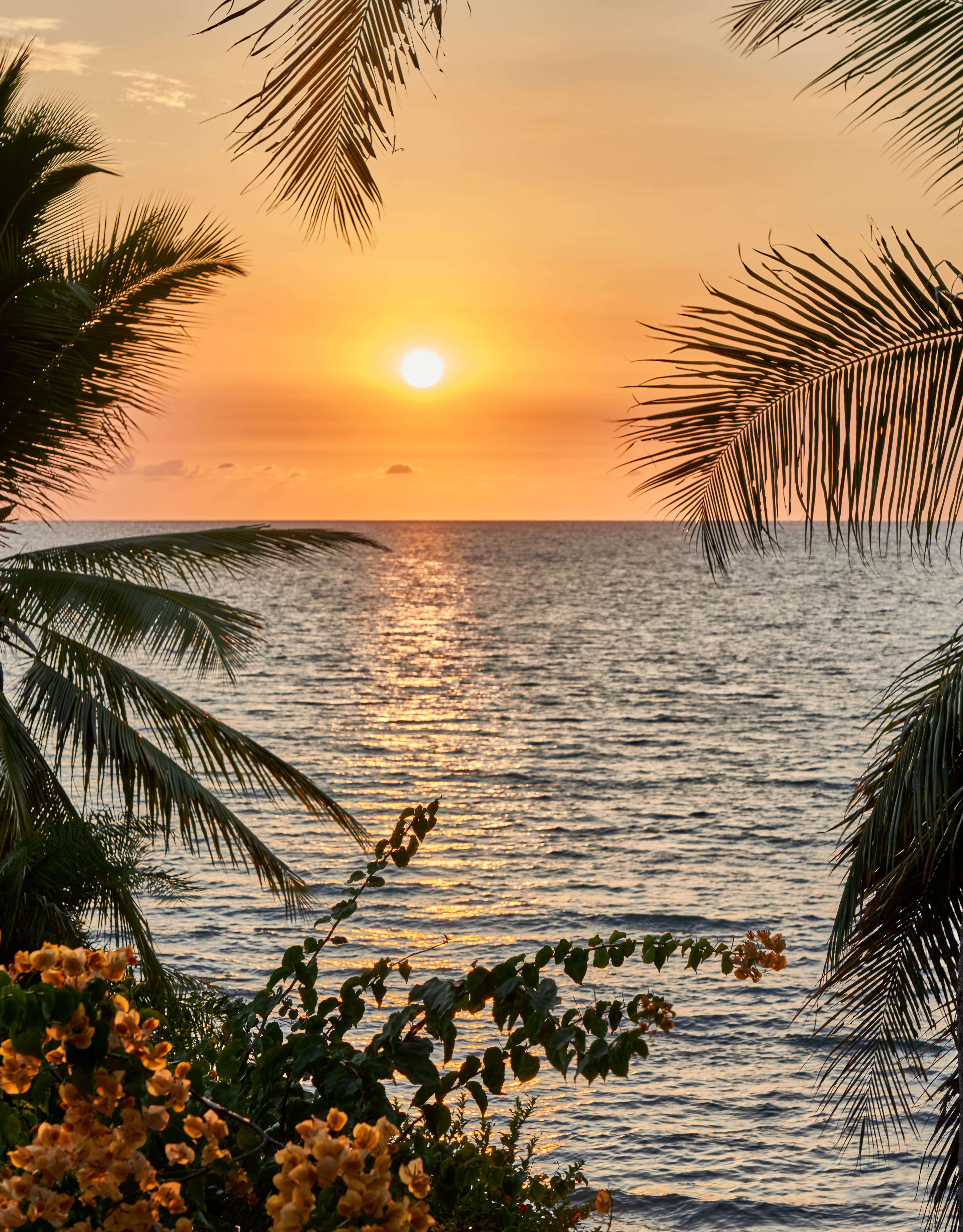 Coucher de soleil sur le littoral de Madagascar bordé de palmiers