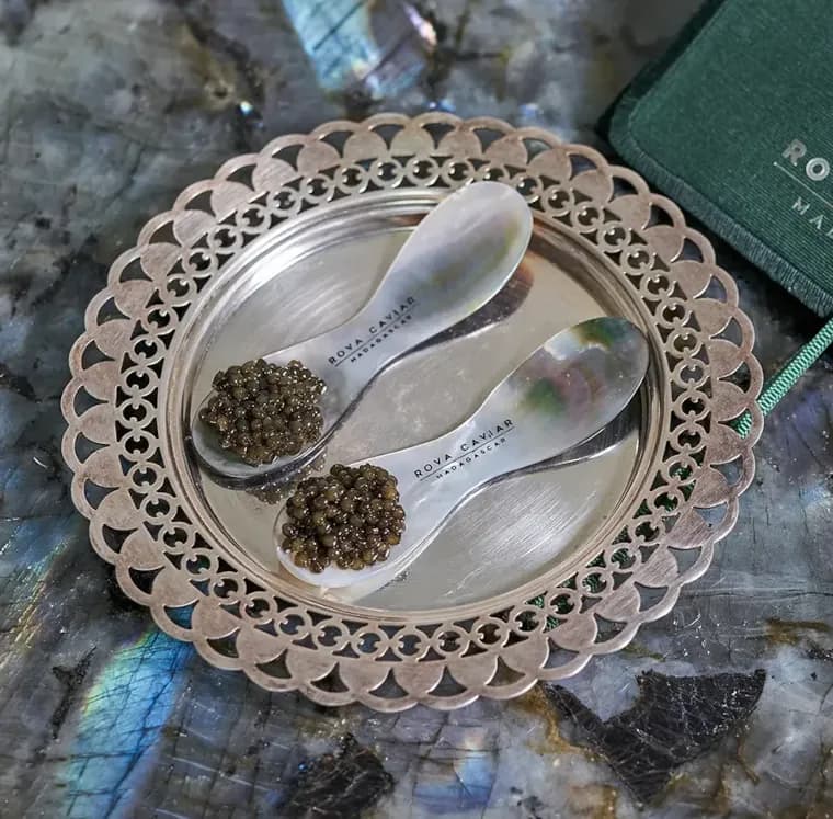 Coupelle et cuillères en nacre garnies de caviar Rova sur un plateau en argent