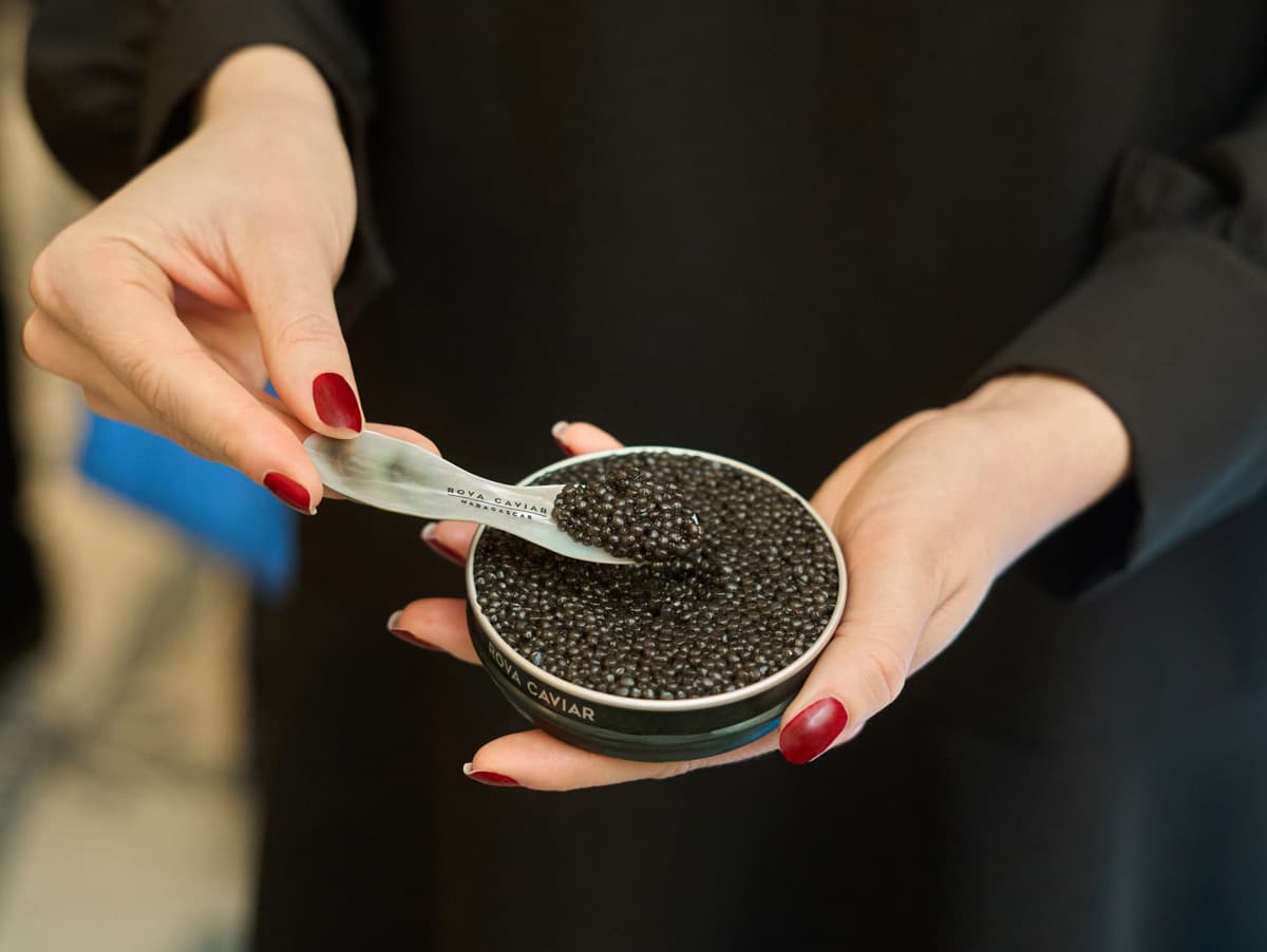 Boîte de caviar Rova ouverte à l'aide de la clé à caviar en laiton
