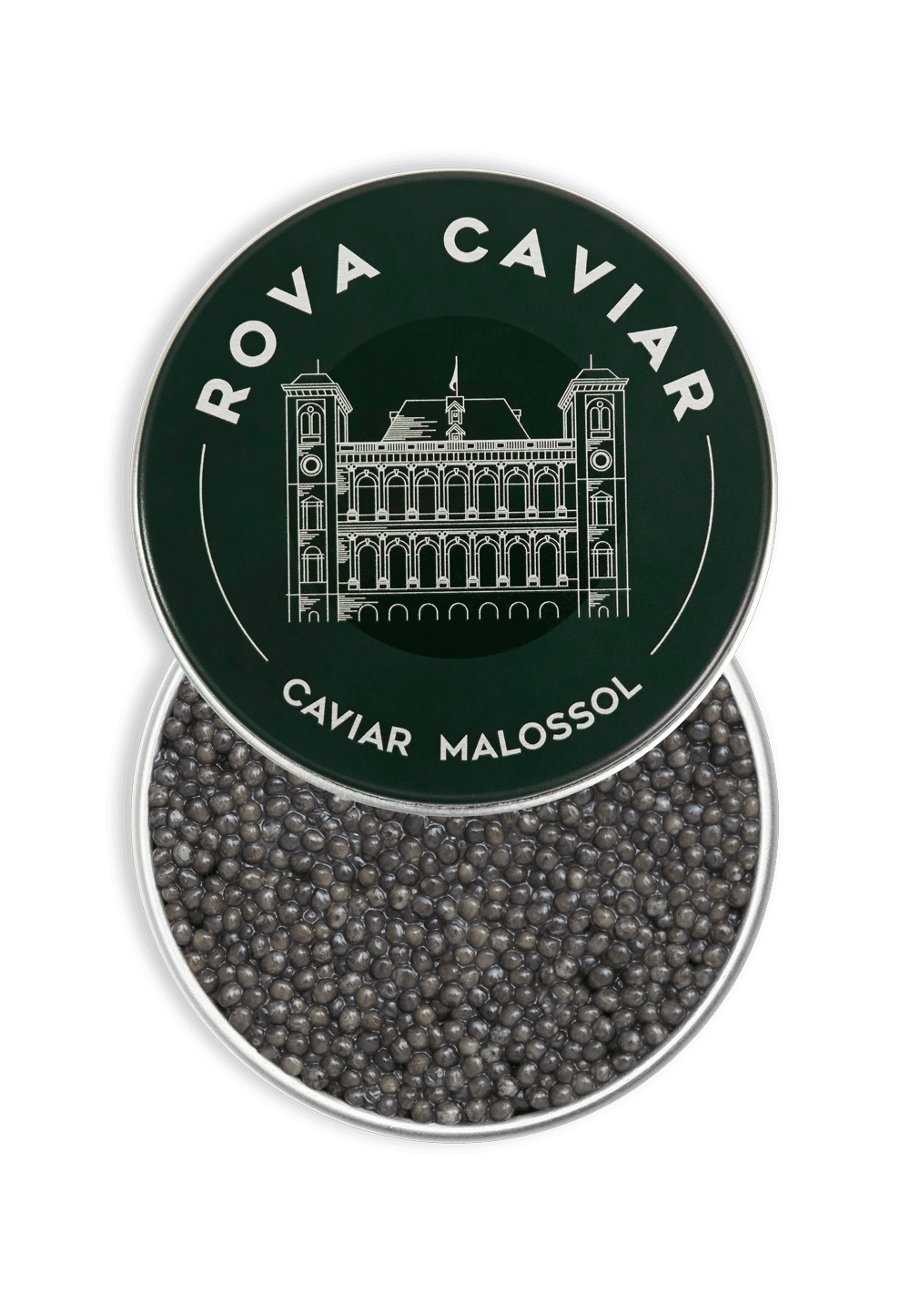 Sévruga Royal