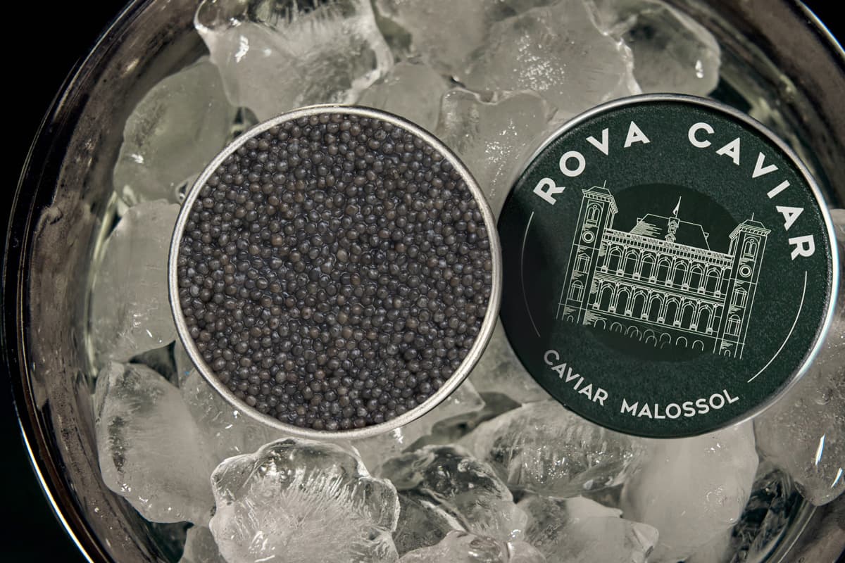 Comment choisir son caviar Rova