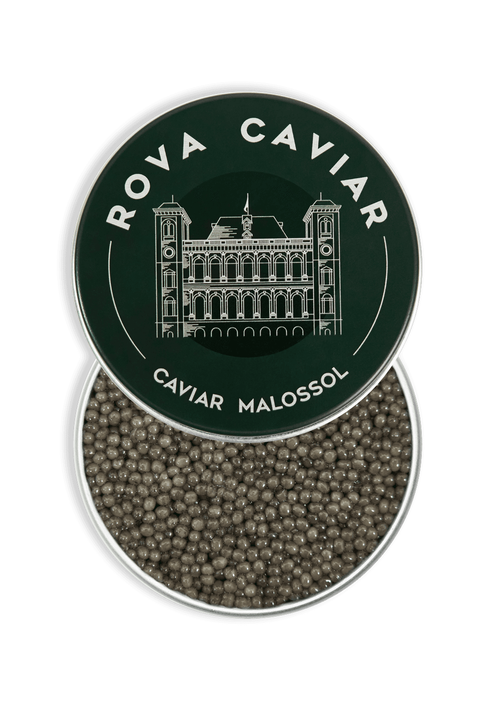 Shipova Royal