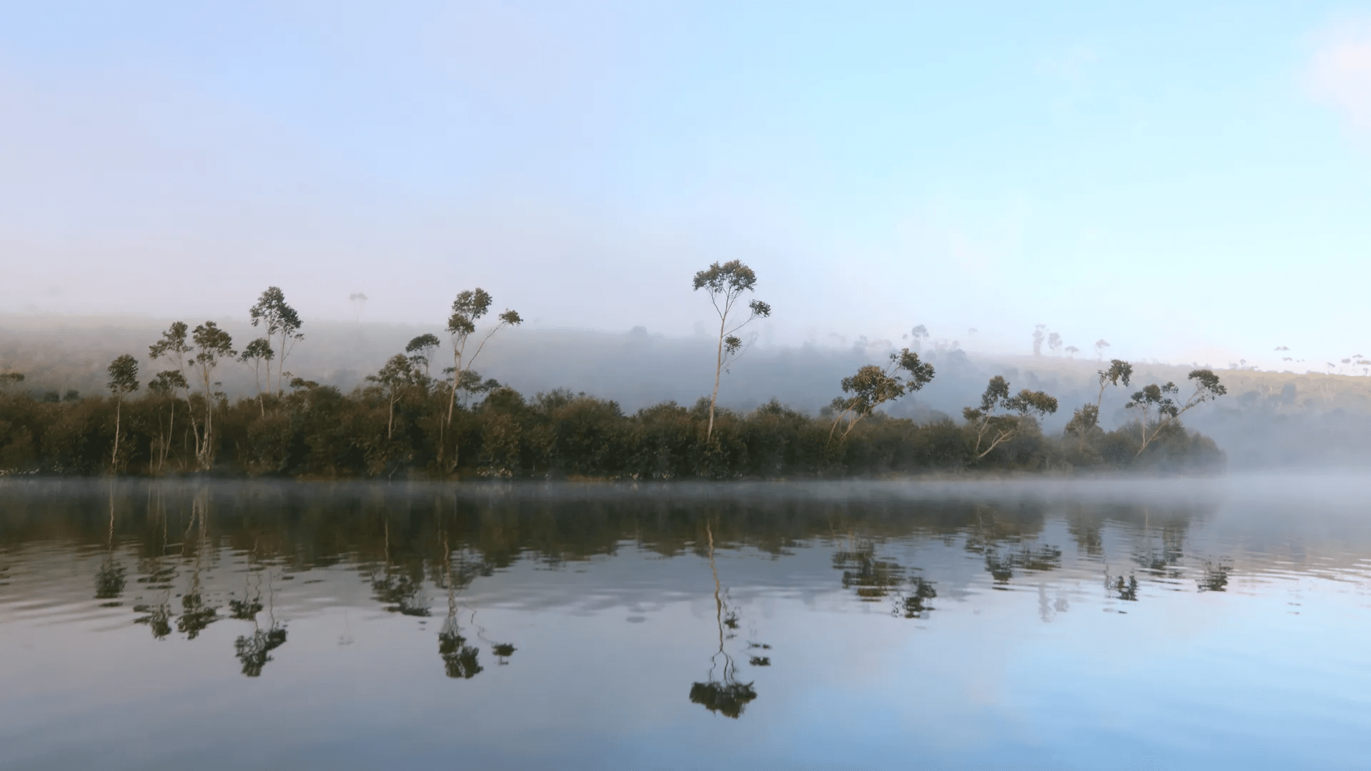 Brume matinale sur le lac de Mantasoa bordé d'eucalyptus