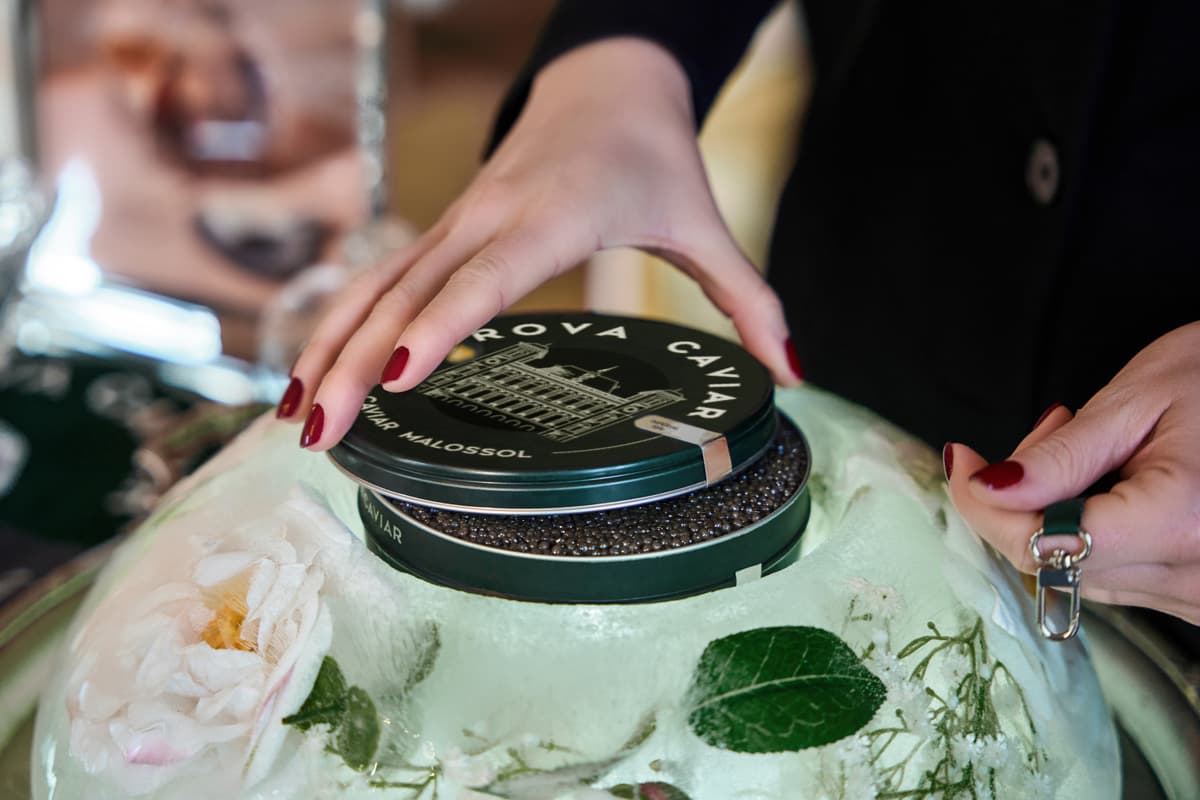 Mains posant le couvercle d’une boîte de caviar Rova Caviar