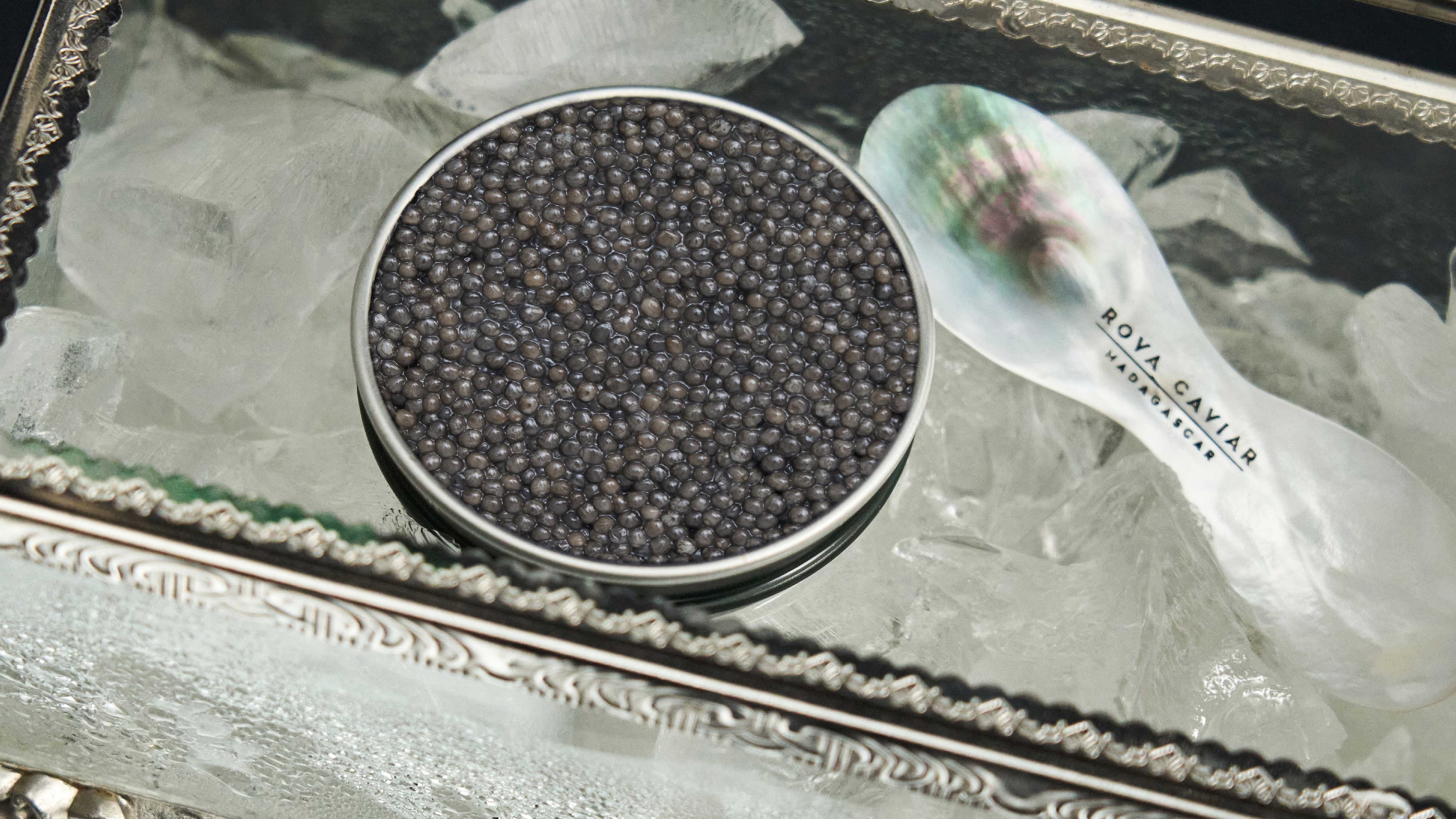 Boîte de caviar Sévruga ouverte sur un lit de glace