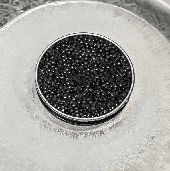 Boîte de caviar Persicus posée sur un dôme de glace