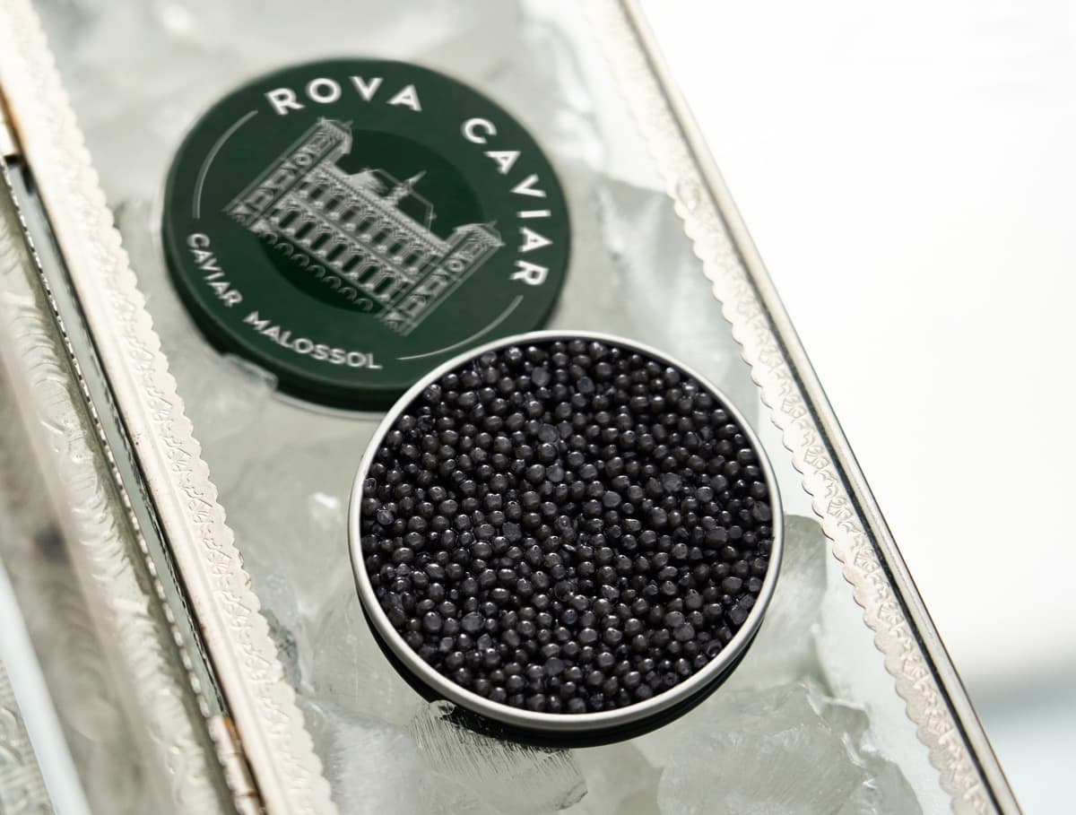 Boîte de caviar Rova Caviar ouverte sur un plateau de glace