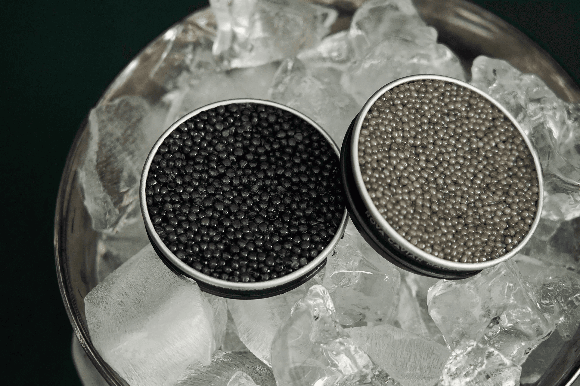 Deux boîtes de caviar aux grains sombres et dorés sur glace