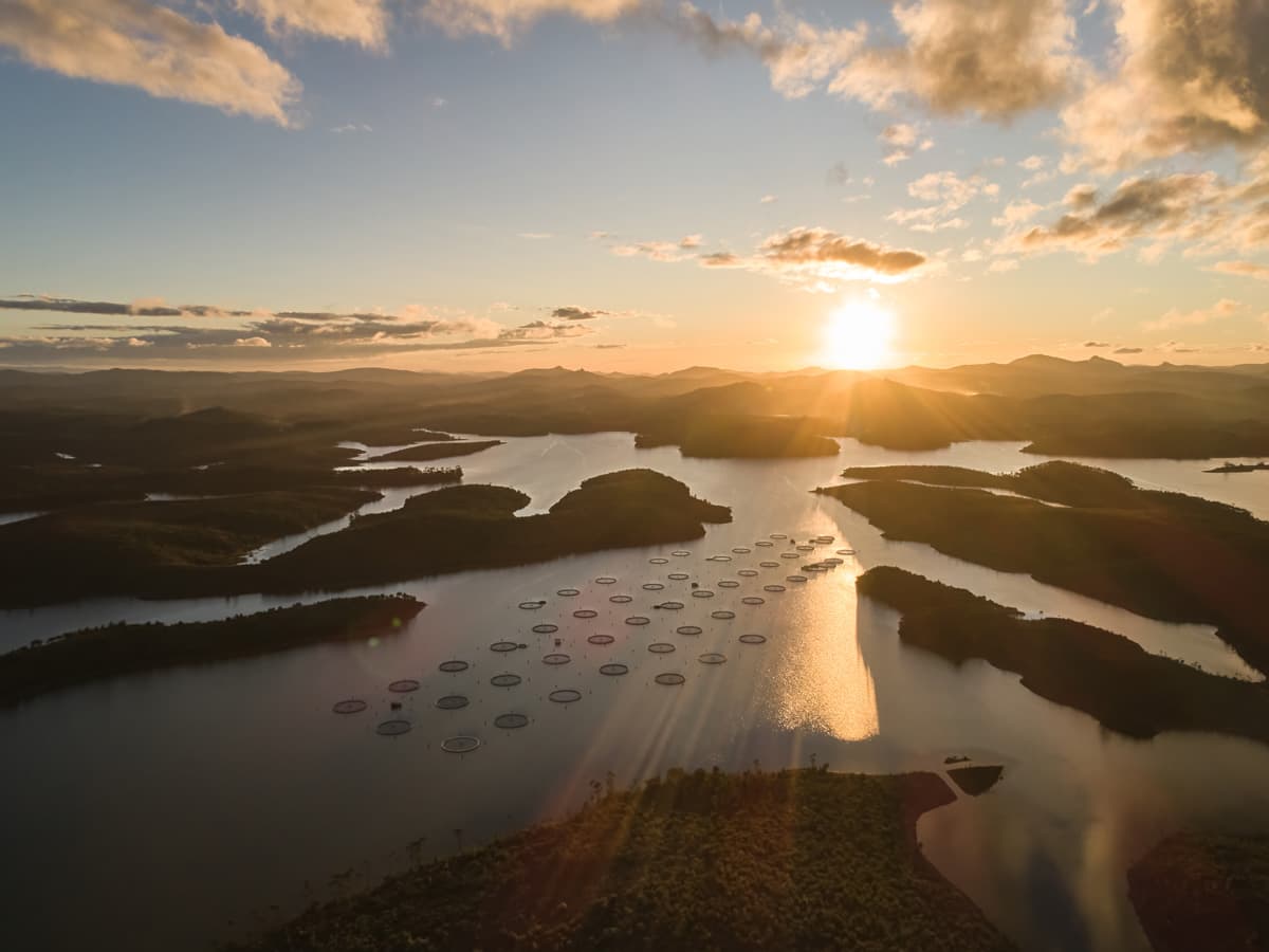 Lac et cages d’élevage d’esturgeons au coucher du soleil, vue aérienne