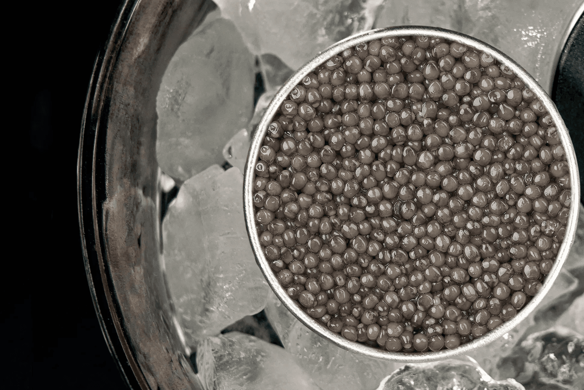 Boîte de caviar Osciètre Supreme aux grains dorés sur glace
